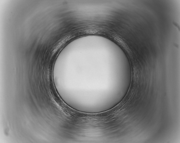 X0000102010626200807180911