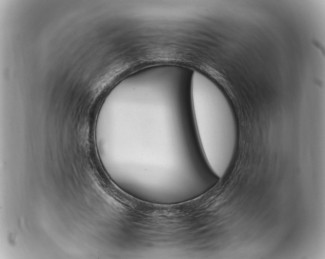 X0000102010627200807180911