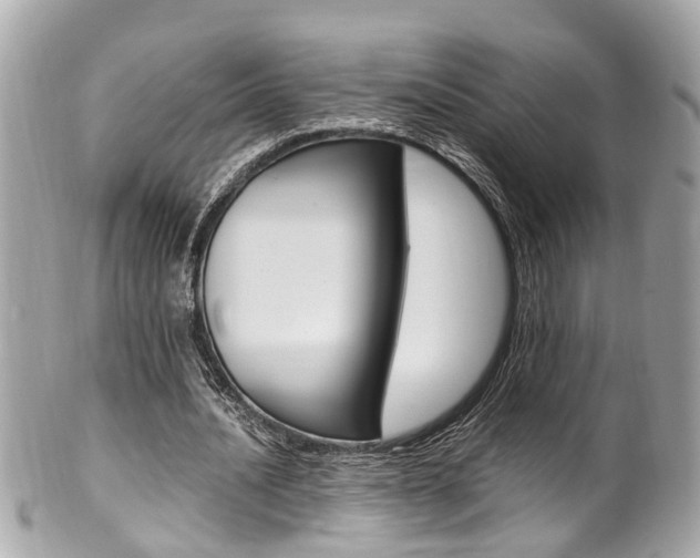 X0000102010628200807180911