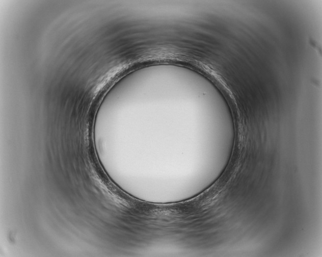 X0000102010629200807180911