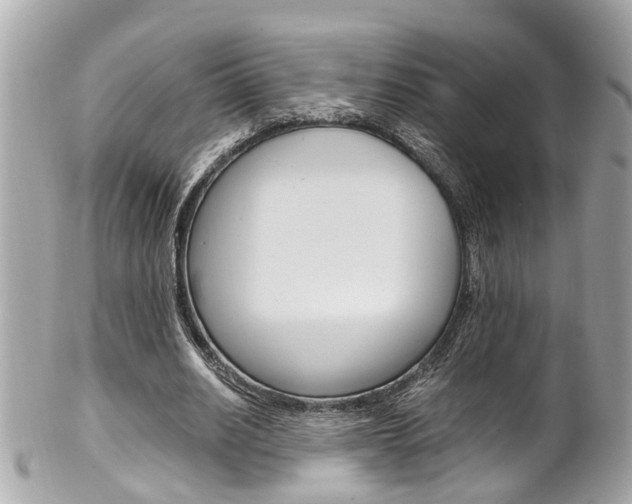 X0000102010630200807180911