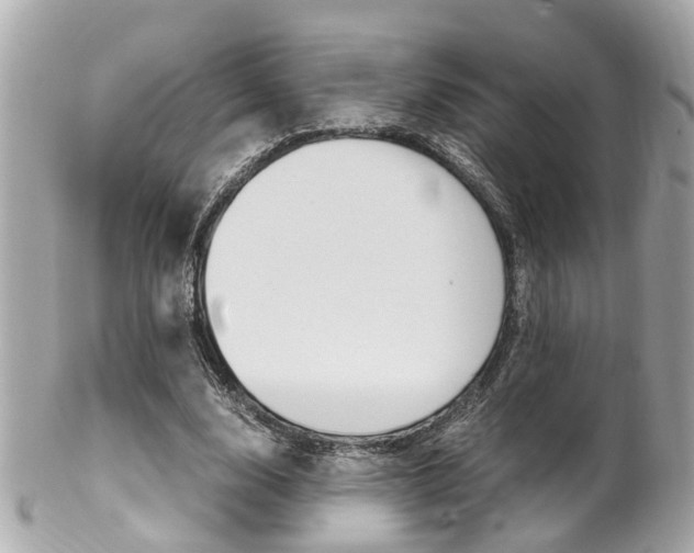 X0000102010632200807180911
