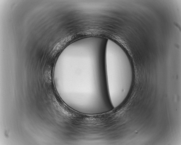 X0000102010633200807180912