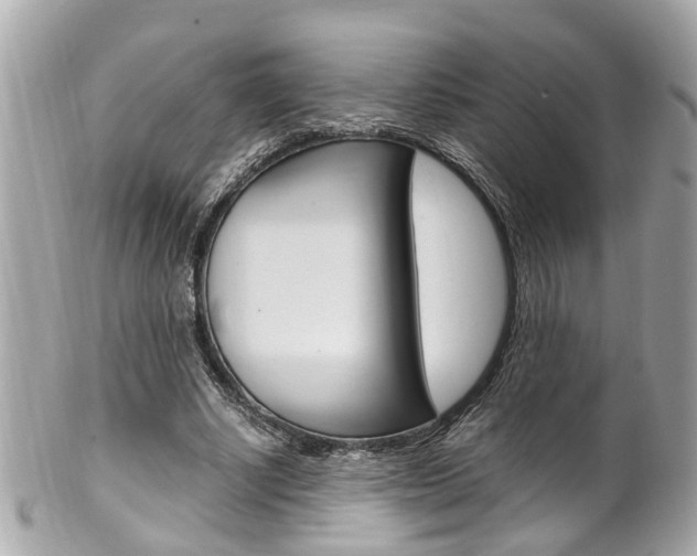 X0000102010634200807180912