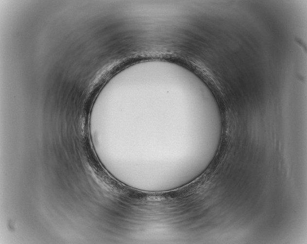 X0000102010636200807180912
