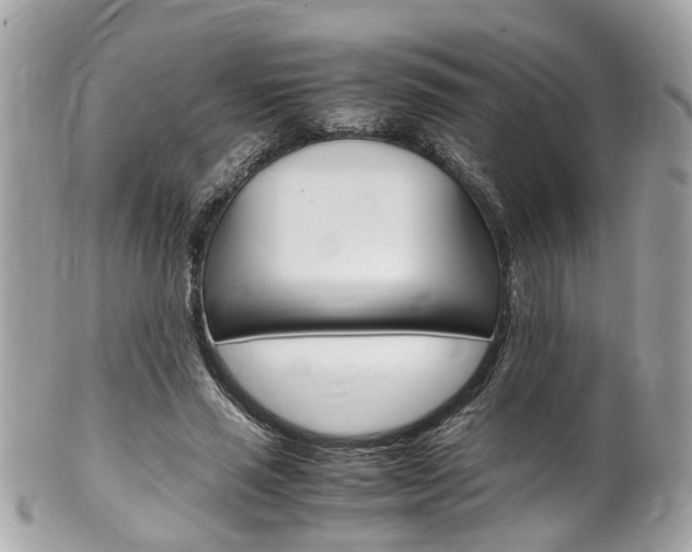 X0000102010637200807180912