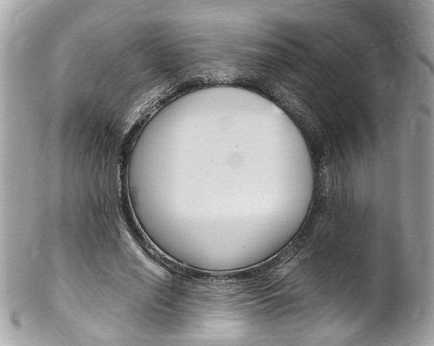 X0000102010638200807180912