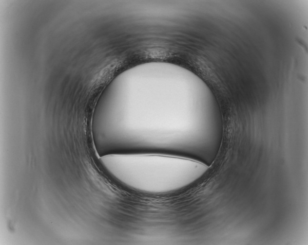 X0000102010639200807180912