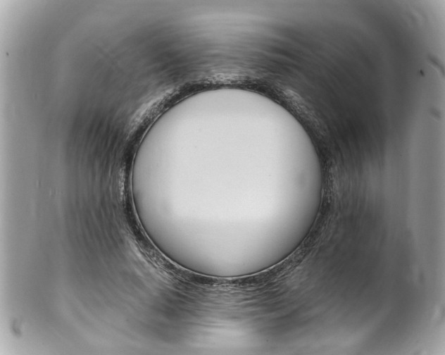 X0000102010640200807180912