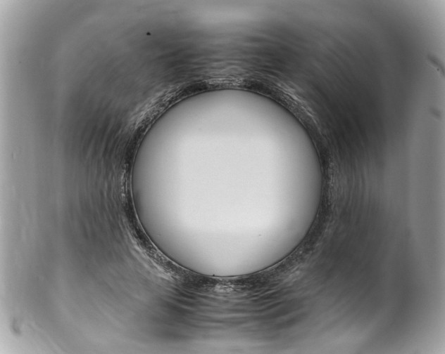 X0000102010641200807180912