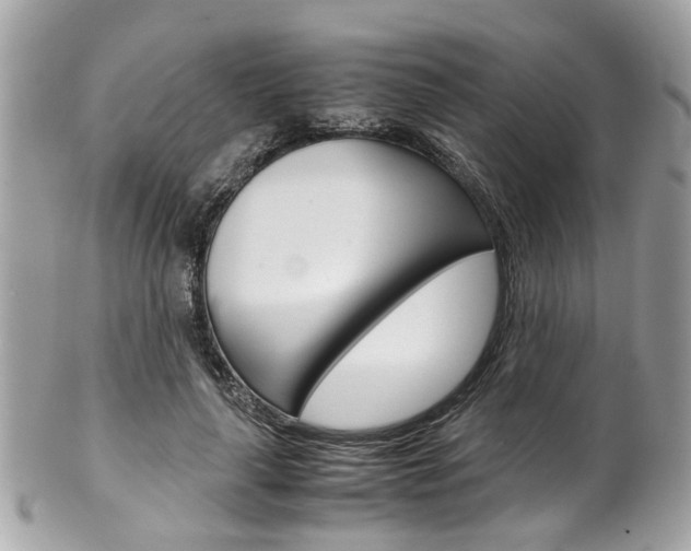 X0000102010643200807180912