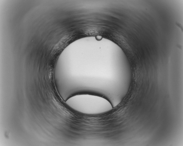 X0000102010645200807180912