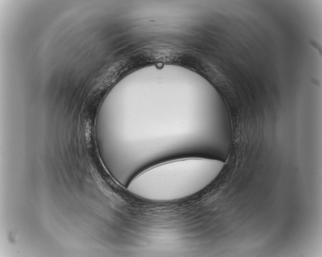 X0000102010646200807180912