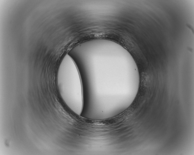 X0000102010650200807180912