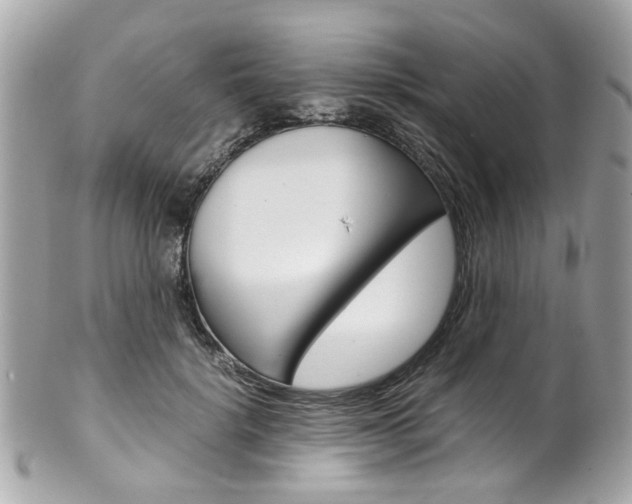 X0000102010652200807180912