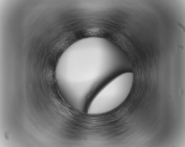 X0000102010653200807180912