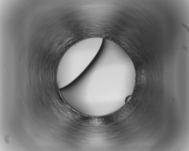 X0000102010656200807180912