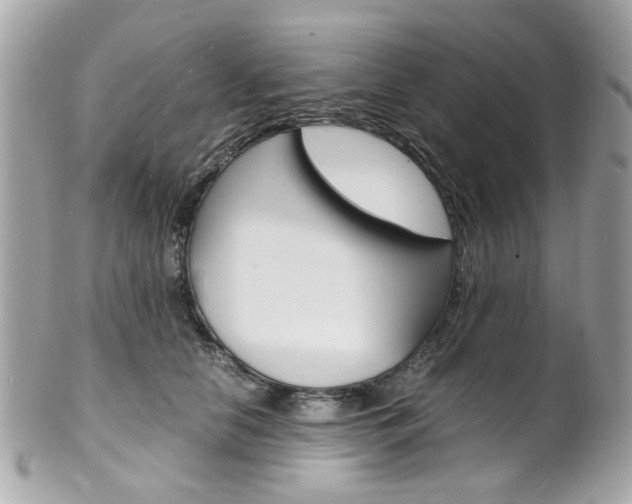 X0000102010658200807180912