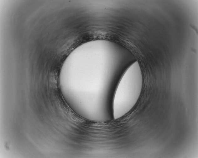 X0000102010661200807180912