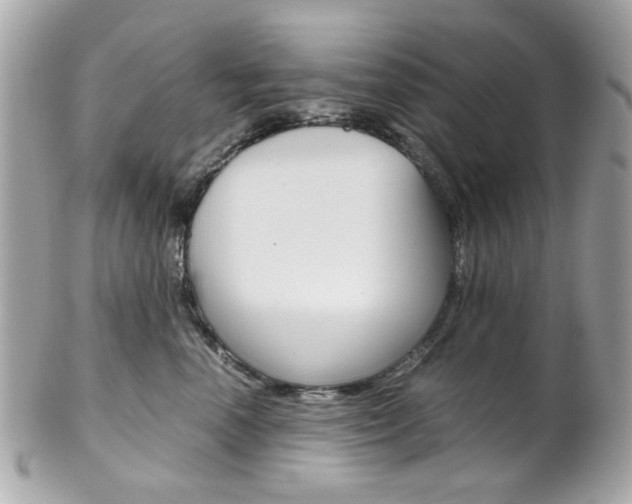 X0000102010666200807180912