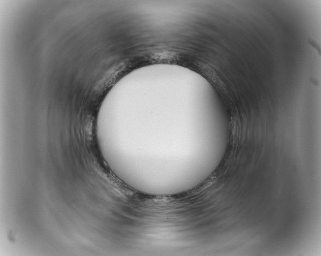 X0000102010668200807180912