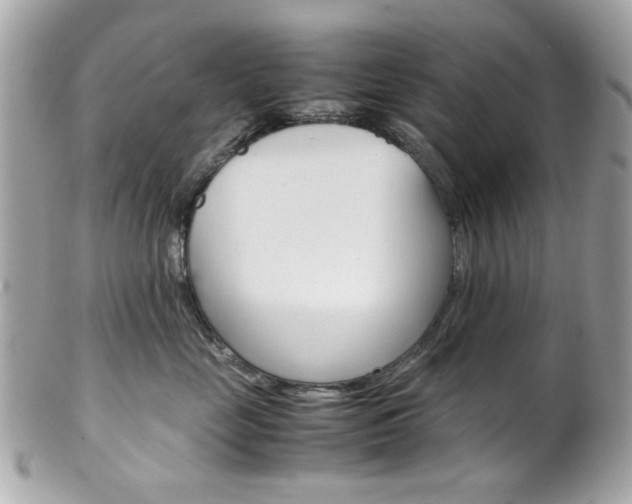 X0000102010669200807180912