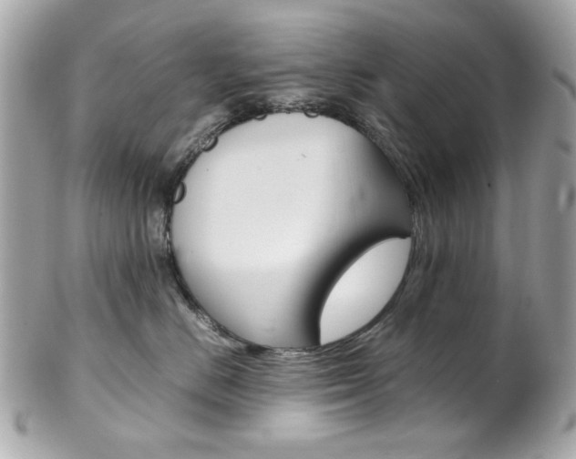 X0000102010670200807180912