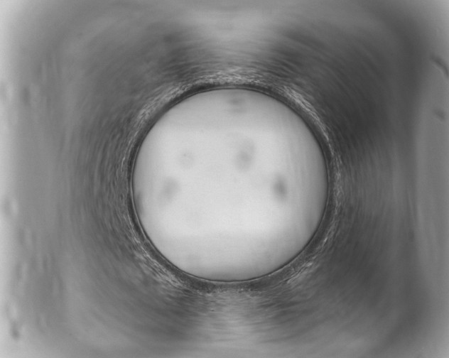 X0000102010673200807180911