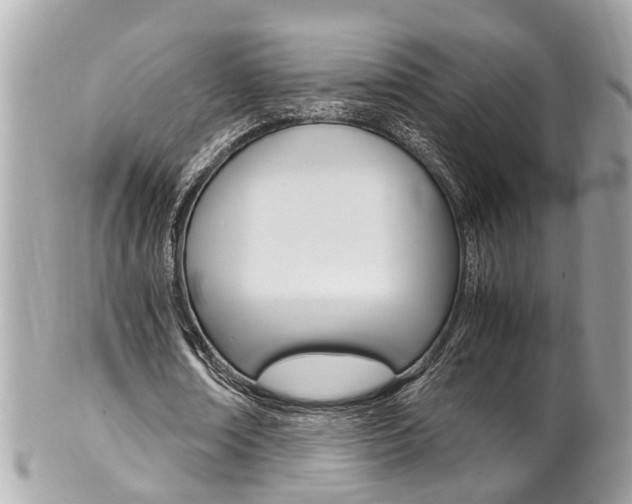 X0000102010674200807180911
