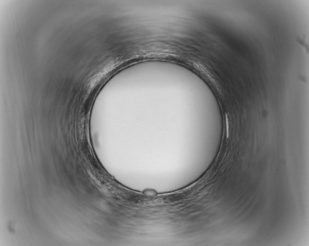 X0000102010675200807180911
