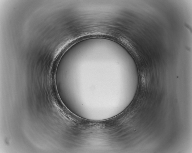 X0000102010676200807180911