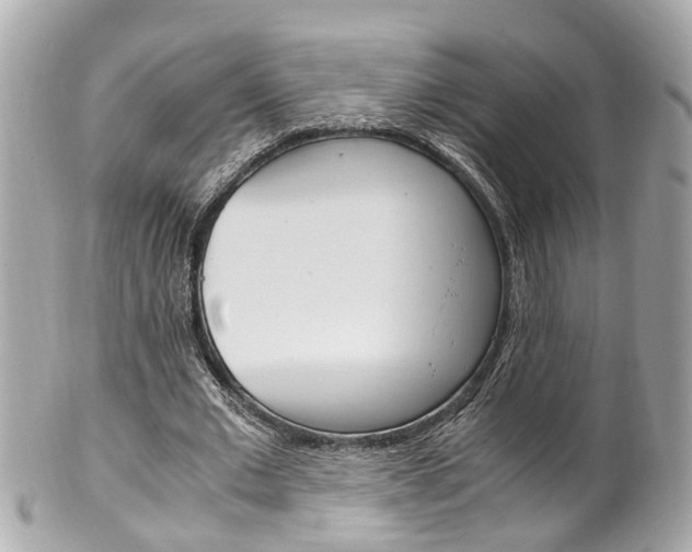 X0000102010677200807180911