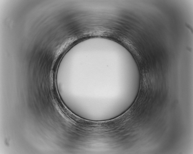 X0000102010678200807180911