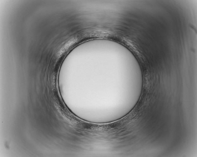 X0000102010679200807180911