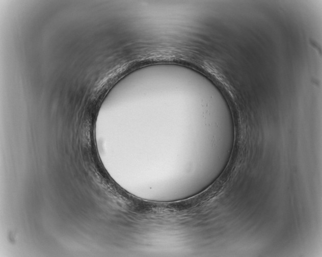 X0000102010681200807180911