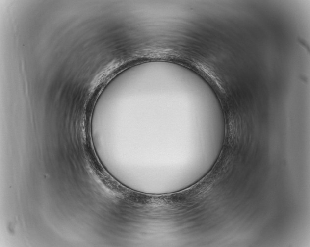 X0000102010682200807180911