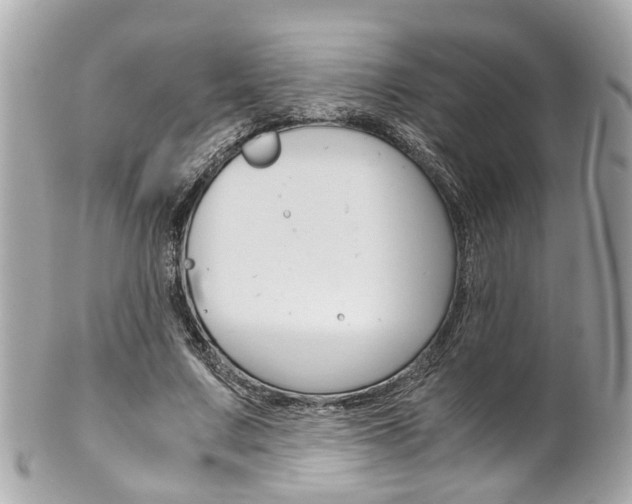 X0000102010683200807180911