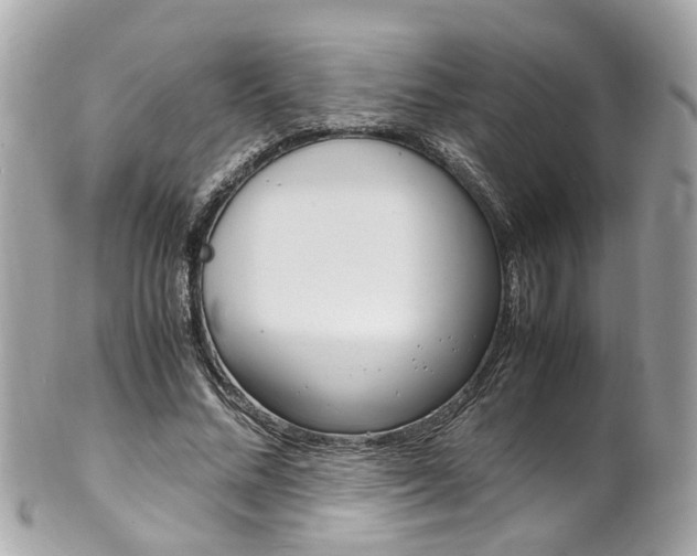 X0000102010684200807180911