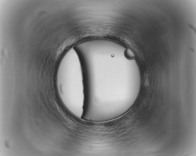 X0000102010685200807180911