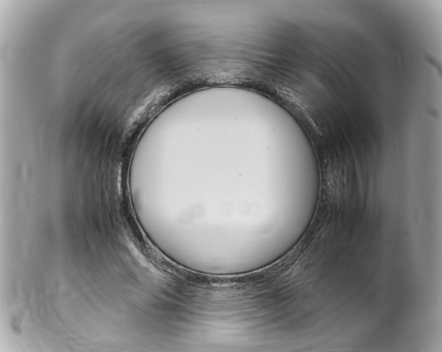X0000102010686200807180911