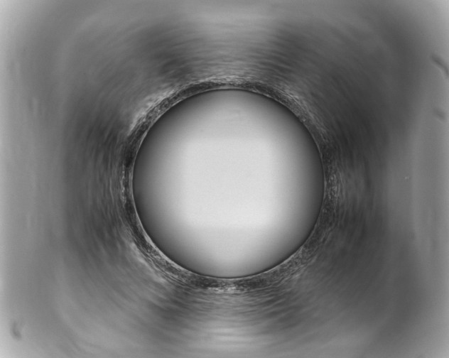 X0000102010688200807180911