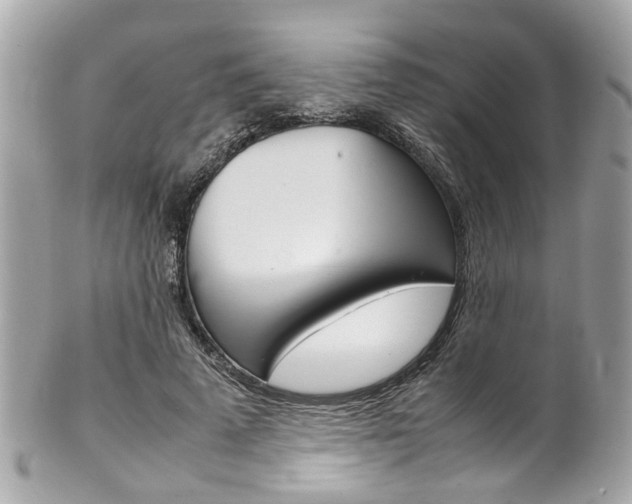 X0000102010689200807180911
