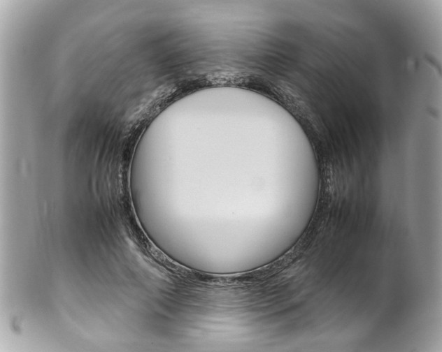 X0000102010690200807180911