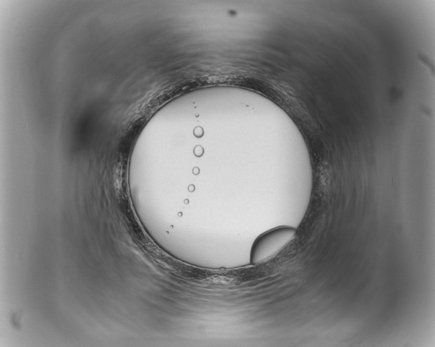 X0000102010691200807180911