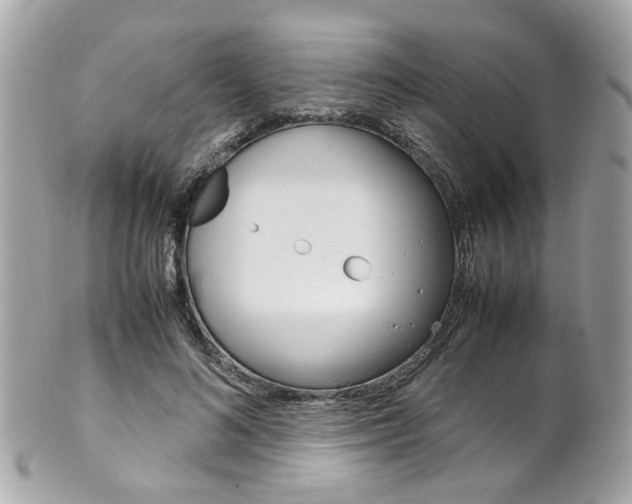 X0000102010692200807180911