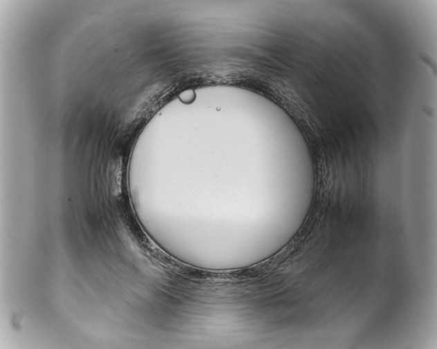 X0000102010694200807180911