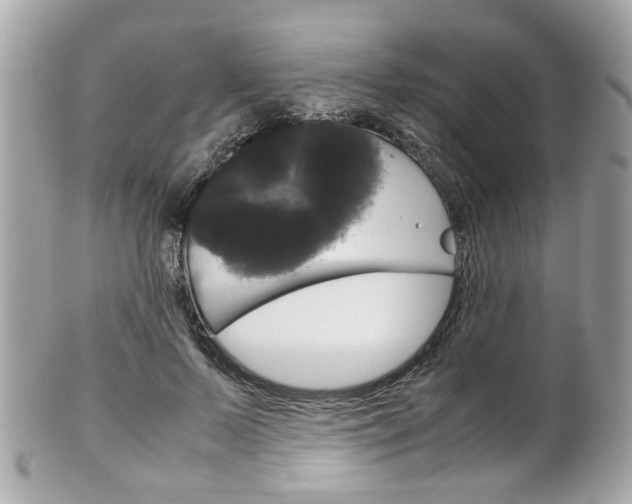 X0000102010695200807180911