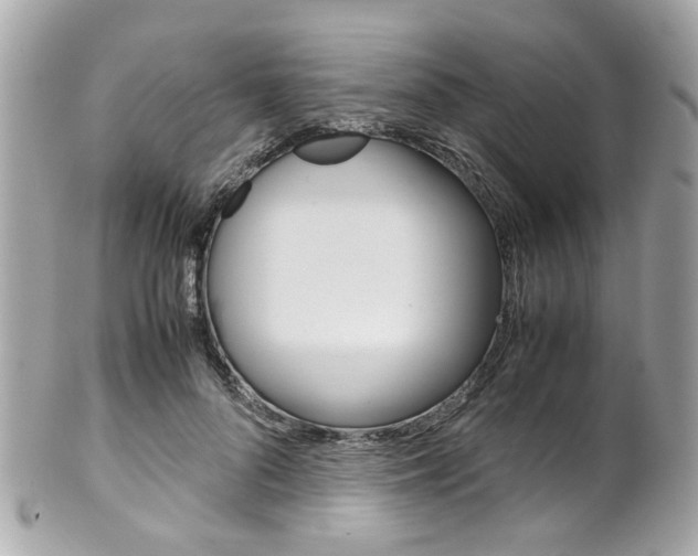 X0000102010696200807180911