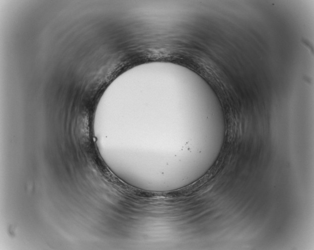 X0000102010700200807180911