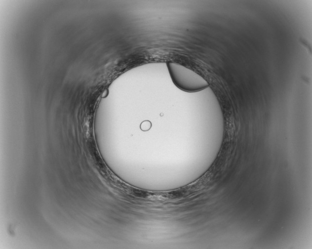 X0000102010703200807180911